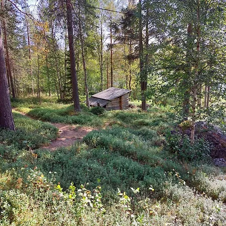 Alpehytte Tammukka