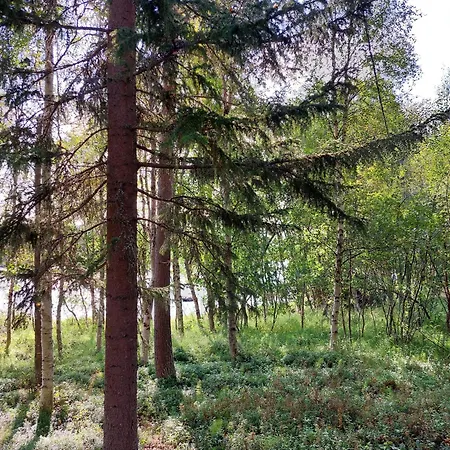 Tammukka Alpehytte *