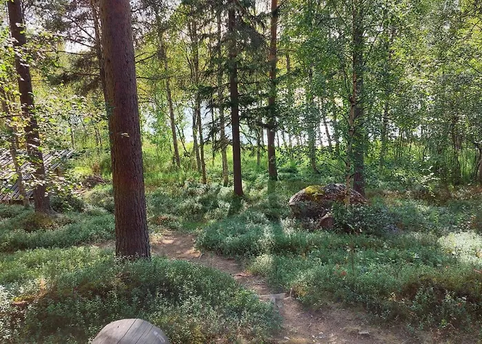 Tammukka Domek alpejski Inari