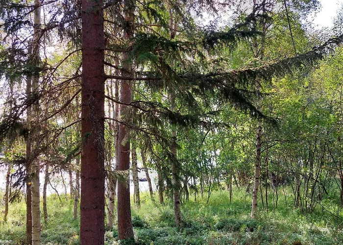 Tammukka Domek alpejski *